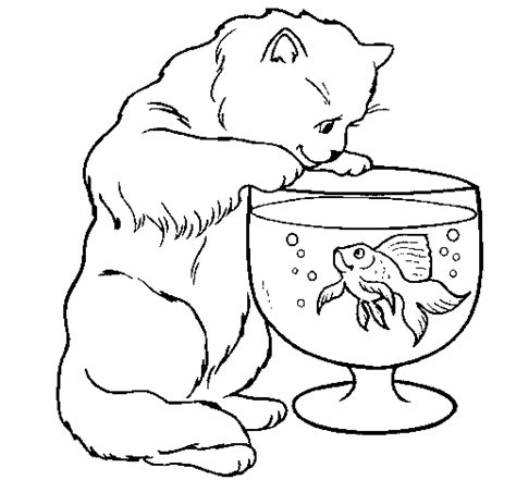 Dibujo de Gato mirando al pez para Colorear - Dibujos.net