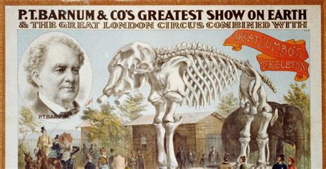 14 Incredible Facts About Pt Barnum