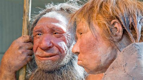 Extinct Human Ancestors Have Impact On Our Health Today