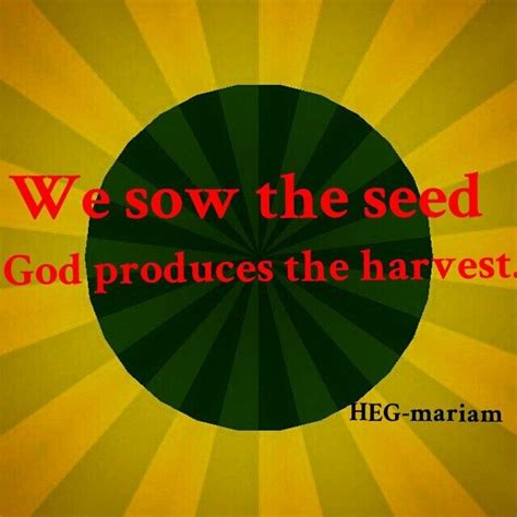 We Sow The Seed God Produces The Harvest Harvest Quotes Seed Quotes