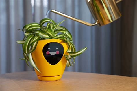 Smart Plant Pot Will Tell You When Youre Killing It