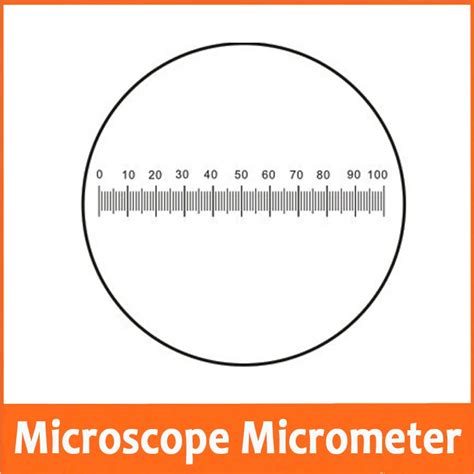 005mm Glass Slide Scale Measuring Microscope Micrometer Calibration