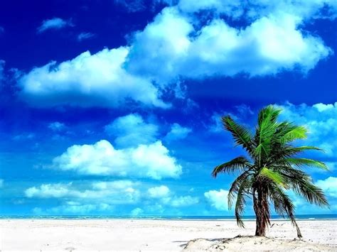 Cool Beach Backgrounds Wallpaper Cave