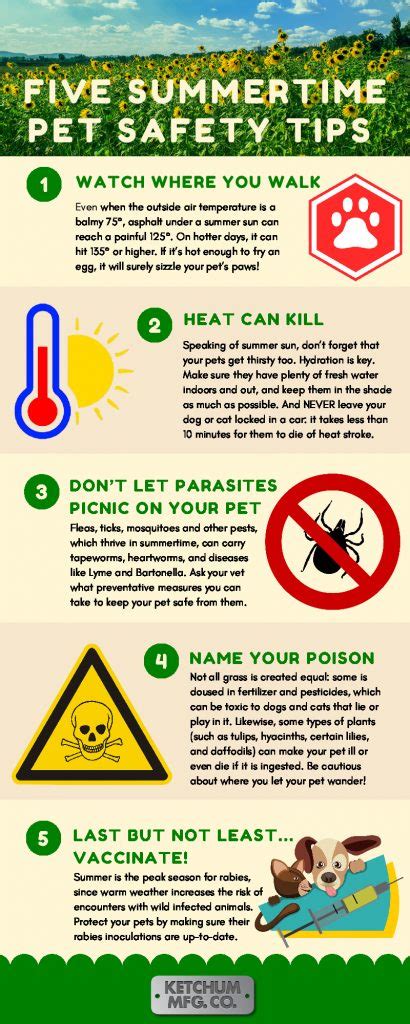 Five Summer Pet Safety Tips Infographic