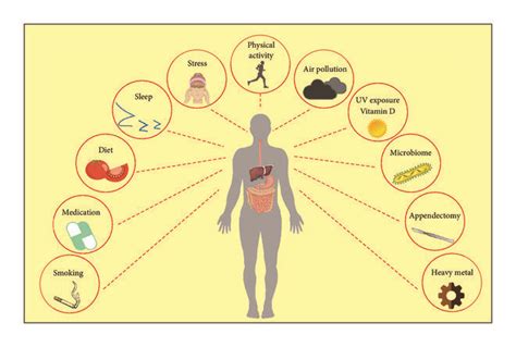 Environmental Risk Factors Involved In Ibd Pathogenesis External Download Scientific Diagram