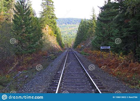 Colorful Fall Foliage Along Railroad Tracks Stock Photo Image Of