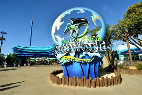 Visiting Seaworld San Diego Tips Discount Admission And More Go City