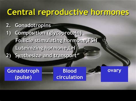 Ppt Physiology Of The Female Reproductive System Powerpoint