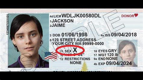 Washington State Adds Gender X Option To Id Cards