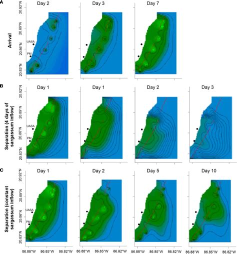 Frontiers Multiscale Distribution Patterns Of Pelagic Rafts Of