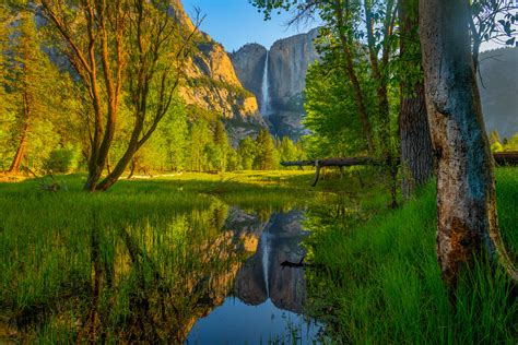Reflection Of Yosemite Falls In Merced River Fine Art Print Photos By