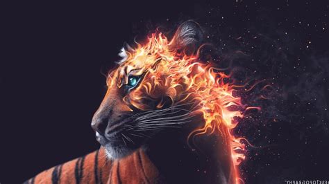 Fire Tiger Wallpapers 4k Hd Fire Tiger Backgrounds On Wallpaperbat