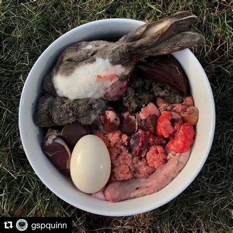 Raw meaty bones are one of the best ways for me to add calcium to my dogs' diet. Pin by X on Bully Baby | Raw dog food diet, Raw dog food ...