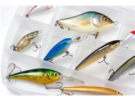Best Rainbow Trout Lures