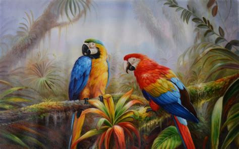 Jungle Parrot Exotic Birds Pictures Download Hd Wallpaper ...