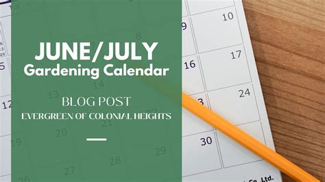 Gardening Calendar Junejuly Evergreen Of Colonial Heights