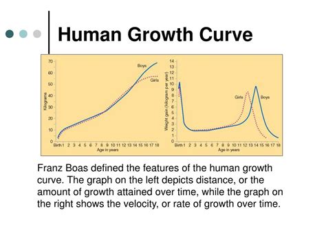 Ppt Chapter 13 Powerpoint Presentation Free Download Id1799779