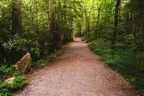 The Great Smoky Mountains National Park Hiking Challenge 100 Miles In
