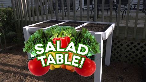 Build A Salad Table Food Garden Container Gardening Growing Herbs
