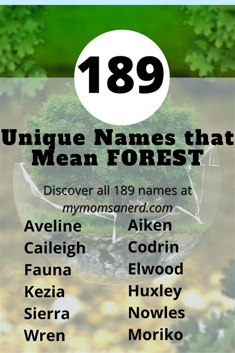 Awesome Names That Mean Forest 189 Verdant Ideas For Boys And Girls