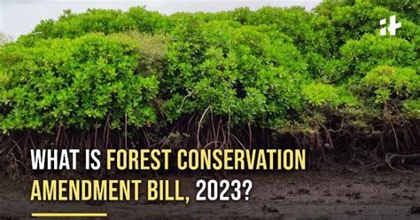 what is the forest conservation amendment bill 2023