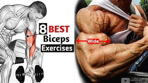 8 Best Dumbbell Biceps Exercises GET BIG ARMS YouTube
