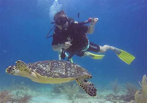 Best Scuba Diving Cancun Tours And Certifications