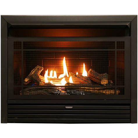 Duluth Forge Dual Fuel Ventless Gas Fireplace Insert 26000 Btu