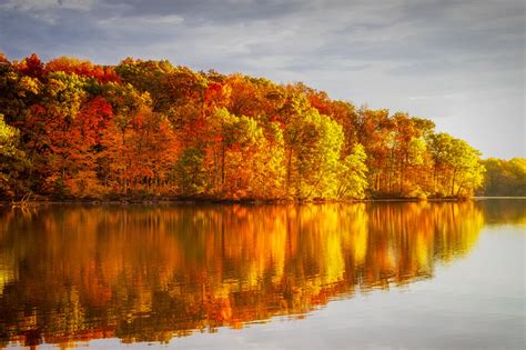 Use This Fall Foliage Prediction Map For Fall Colors In Illinois