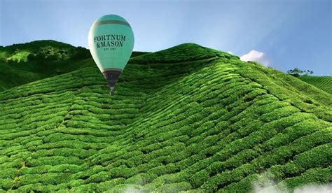 Thailand, pinoy, malaysia, tidak boleh diposting di bagian ini. #Fortnums | Watch Our Tea Film | Inspirational people ...