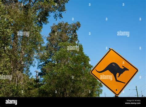Animal Warning Sign Of Kangaroo In Queensland Australia Stock Photo