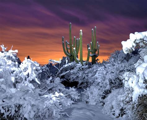 Pin By Hnsbook On Arizona Tucson Arizona Sonoran Desert Snow Storm