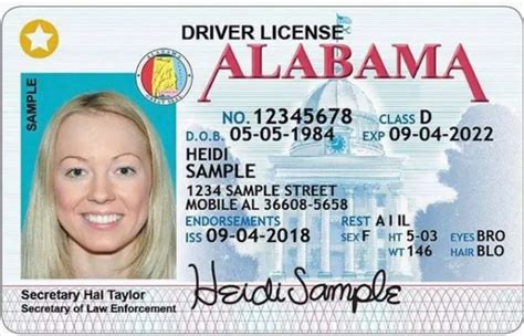 Need A Gold Star On Your Alabama Drivers License To Fly Al Real Id
