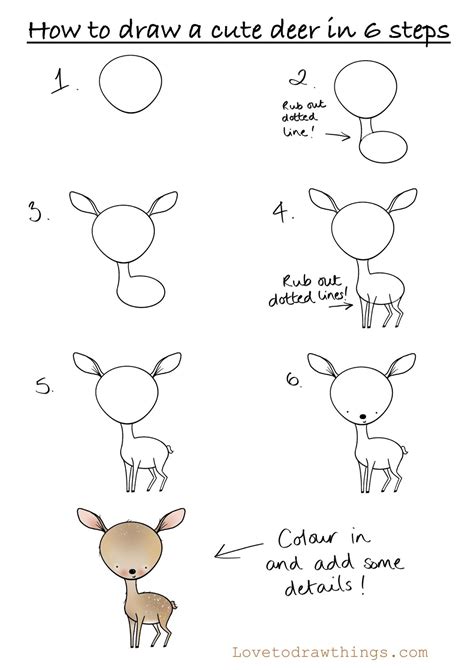 How To Draw A Cute Deer In 6 Steps