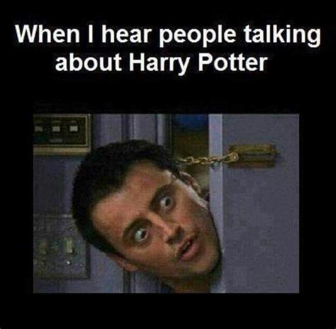 When I Hear People Talking About Harry Potter Harry