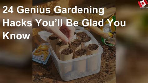 genius gardening hacks you ll be glad you know youtube
