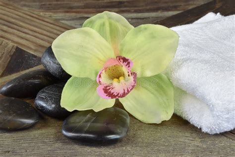 Spa And Wellness Massage Stones Stock Image Image Of Pampering Relaxation 71367603