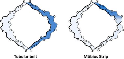 A Tubular Belt And A Möbius Strip With Dynamic Joints Synthesis Structure And Hostguest