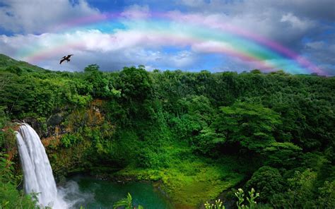 Natural Rainbow Hd Wallpapers Wallpaper Cave