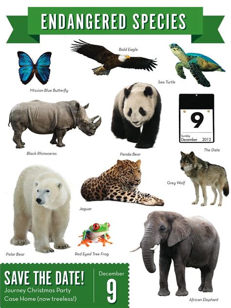 Endangered Species List With Pictures And Information