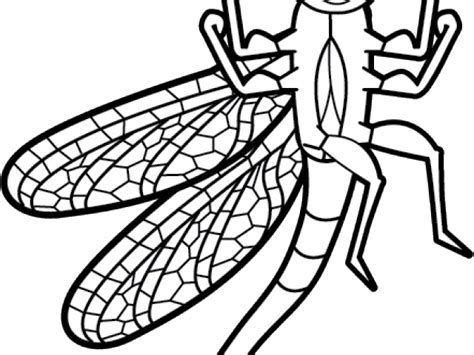 Dragonfly Clipart Black And White Clip Art Png Download Full Size