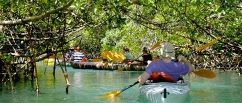 Lucayan National Park Kayak Nature And Cave Tour Explore The Bahamas