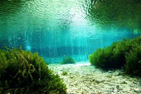 Amazing Natural Swimming Pools