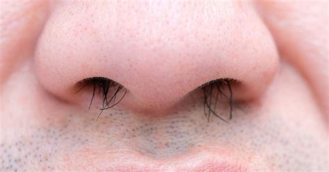 Removing Nose Hair Could Lead To Life Threatening Brain Condition