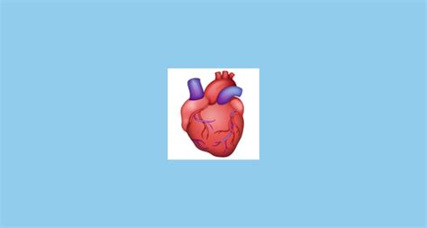🫀 Corazón Humano Emoji On Whatsapp 223272