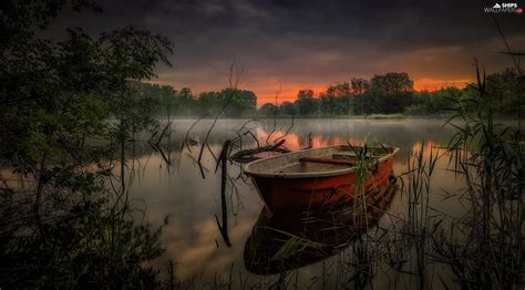 Fog Boat Viewes Great Sunsets Lake Trees Grass Ships Wallpapers
