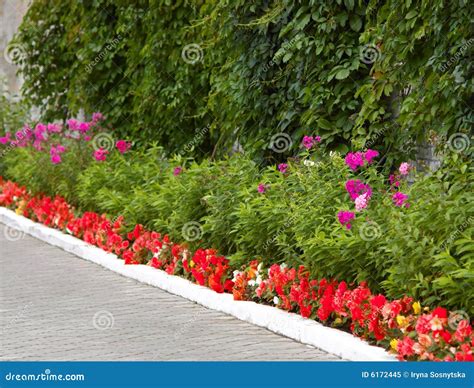 Flower Alley Royalty Free Stock Photo Image 6172445