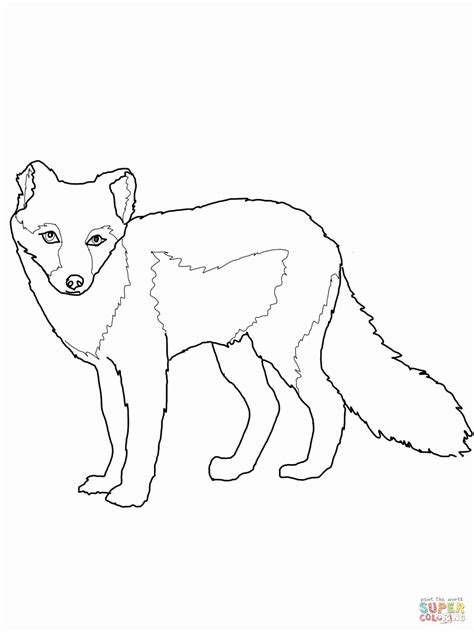 Cute Arctic Fox Coloring Page Coloring Svg