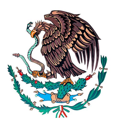 Mexican Eagle Stock Photos Pictures And Royalty Free Images Istock