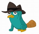Perry el ornitorrinco bebv - Imagui